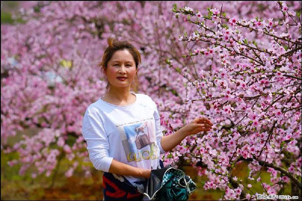 【春天，广西桂林灌阳县向您发出邀请！】官庄村有个醉美的桃花园 - 游山玩水 - 吉林生活社区 - 吉林28生活网 jl.28life.net