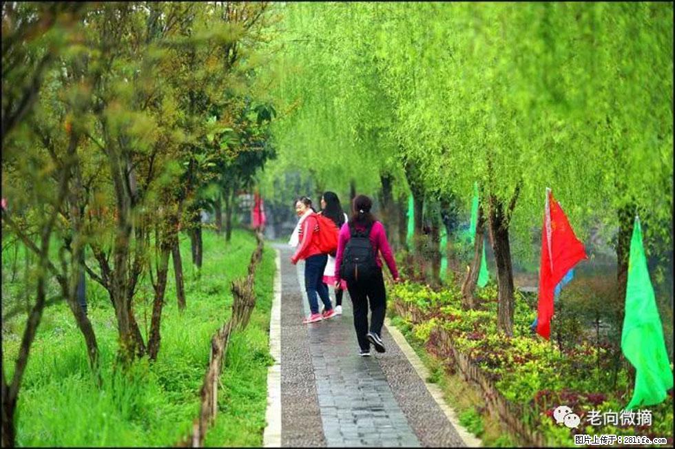 【春天，广西桂林灌阳县向您发出邀请！】江口老街又逢春 - 游山玩水 - 吉林生活社区 - 吉林28生活网 jl.28life.net