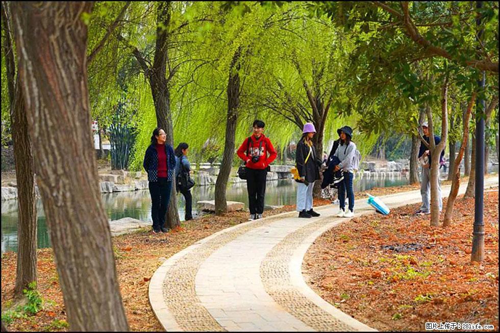 【春天，广西桂林灌阳县向您发出邀请！】江口老街又逢春 - 游山玩水 - 吉林生活社区 - 吉林28生活网 jl.28life.net