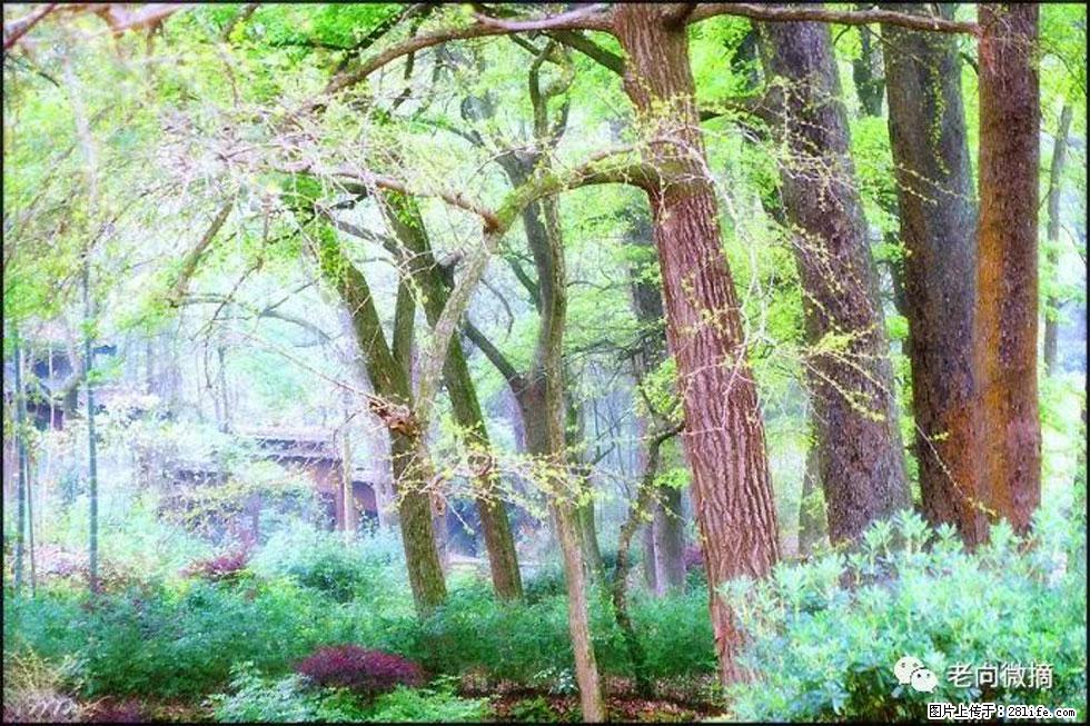 【春天，广西桂林灌阳县向您发出邀请！】在小龙村与春天约会 - 游山玩水 - 吉林生活社区 - 吉林28生活网 jl.28life.net