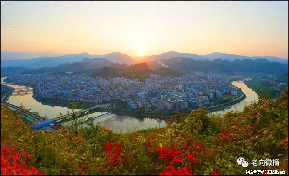 【春天，广西桂林灌阳县向您发出邀请！】登麒麟山，相约映山红 - 游山玩水 - 吉林生活社区 - 吉林28生活网 jl.28life.net