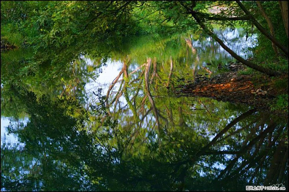 【春天，广西桂林灌阳县向您发出邀请！】熊家寨湿地公园 - 游山玩水 - 吉林生活社区 - 吉林28生活网 jl.28life.net