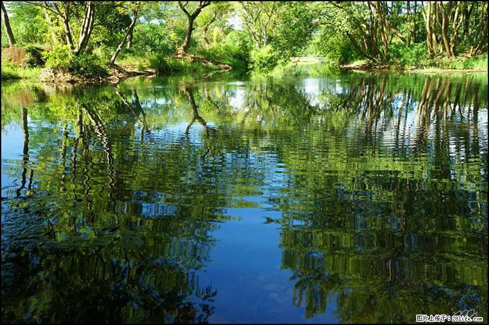 【春天，广西桂林灌阳县向您发出邀请！】熊家寨湿地公园 - 游山玩水 - 吉林生活社区 - 吉林28生活网 jl.28life.net