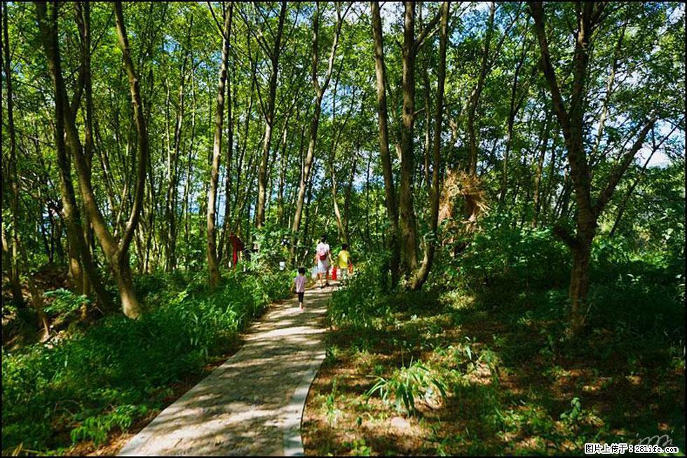 【春天，广西桂林灌阳县向您发出邀请！】熊家寨湿地公园 - 游山玩水 - 吉林生活社区 - 吉林28生活网 jl.28life.net