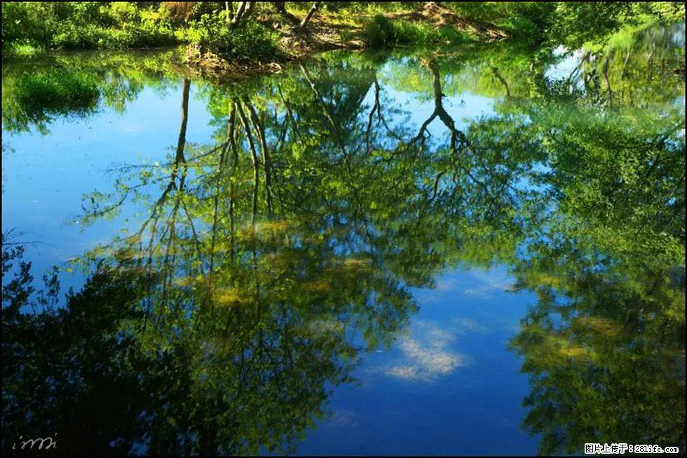 【春天，广西桂林灌阳县向您发出邀请！】熊家寨湿地公园 - 游山玩水 - 吉林生活社区 - 吉林28生活网 jl.28life.net