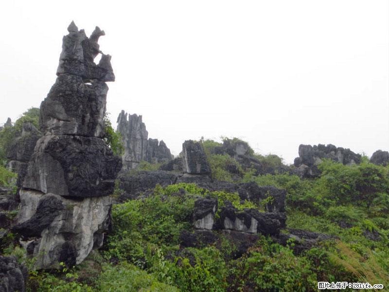 桂林旅游名城景点：灌阳文市石林 - 游山玩水 - 吉林生活社区 - 吉林28生活网 jl.28life.net