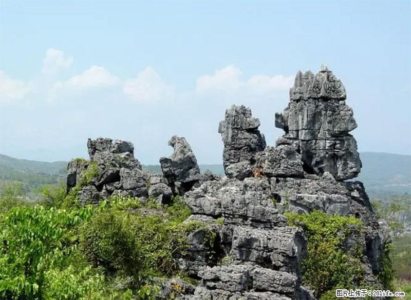桂林旅游名城景点：灌阳文市石林 - 游山玩水 - 吉林生活社区 - 吉林28生活网 jl.28life.net