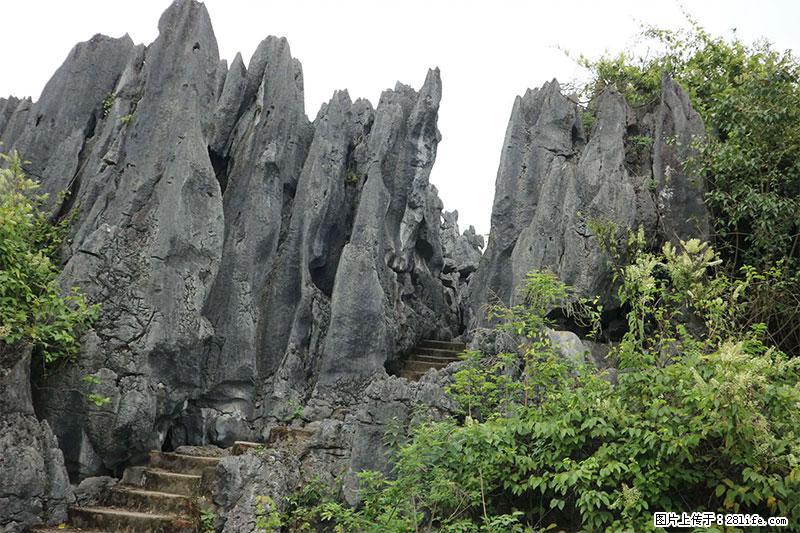 桂林旅游名城景点：灌阳文市石林 - 游山玩水 - 吉林生活社区 - 吉林28生活网 jl.28life.net