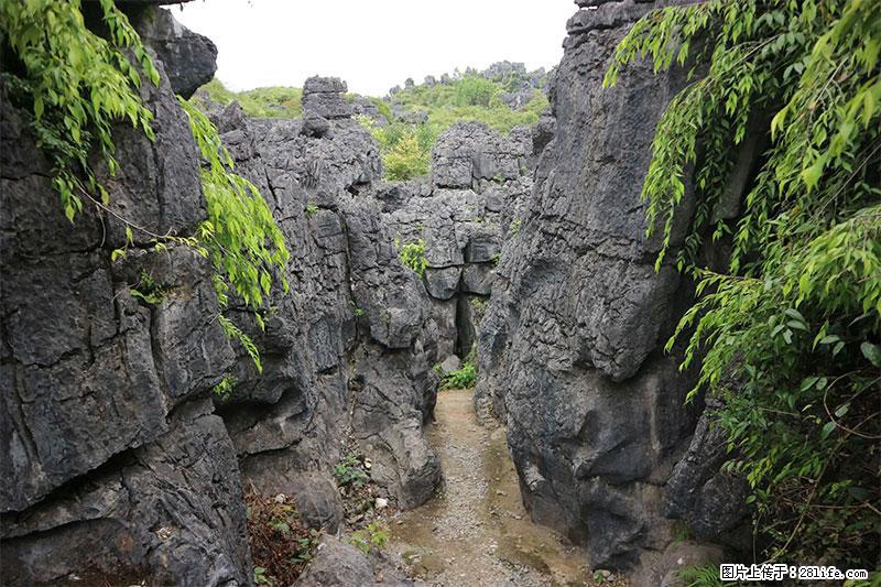 桂林旅游名城景点：灌阳文市石林 - 游山玩水 - 吉林生活社区 - 吉林28生活网 jl.28life.net