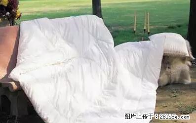 被子有异味？只要这样做，比晒太阳还强100倍！ - 家居生活 - 吉林生活社区 - 吉林28生活网 jl.28life.net