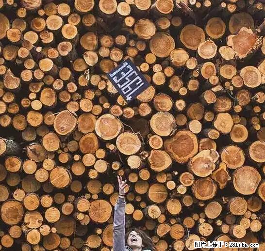 辞掉工作周游世界？现在他们在洗厕所…… - 游山玩水 - 吉林生活社区 - 吉林28生活网 jl.28life.net