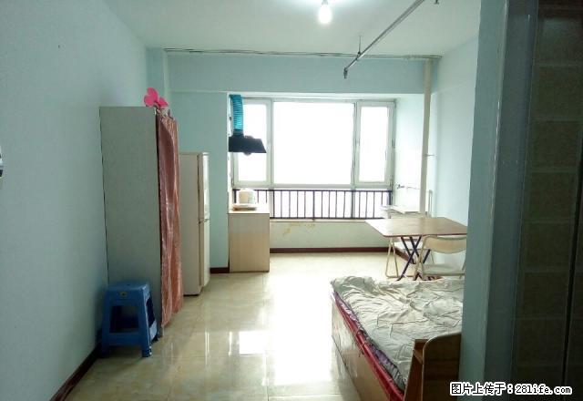 可3个月个交松江绅苑高层精装地热10楼冰箱洗衣机热水器800 - 房屋出租 - 房屋租售 - 吉林分类信息 - 吉林28生活网 jl.28life.net