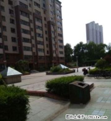 华天佳苑，众安居旁，精装修，居住环境好。 - 房屋出租 - 房屋租售 - 吉林分类信息 - 吉林28生活网 jl.28life.net