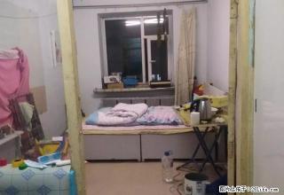 造纸厂住宅.公寓楼.松江二厅.正五楼 - 吉林28生活网 jl.28life.net