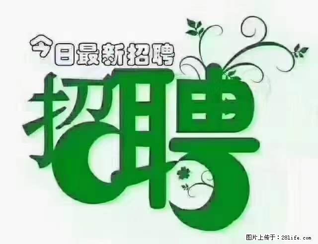 【招聘摄像师】待遇：试用期6000元/月，转正7000元/月+五险一金+餐补+节日福利+奖金 - 职场交流 - 吉林生活社区 - 吉林28生活网 jl.28life.net