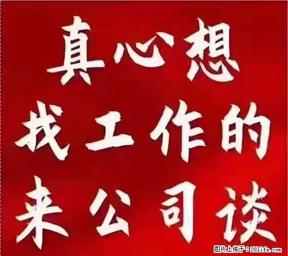 【上海】国企，医院招两名男保安，55岁以下，身高1.7米以上，无犯罪记录不良嗜好 - 职场交流 - 吉林生活社区 - 吉林28生活网 jl.28life.net