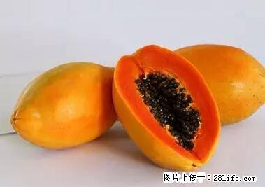 晕车、脚气、牙齿变黄、皮肤粗糙？学会这些三分钟搞定！ - 吉林生活资讯 - 吉林28生活网 jl.28life.net