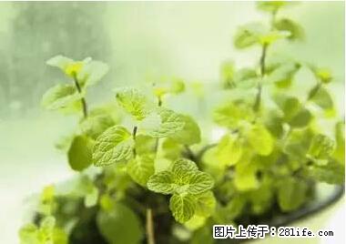 晕车、脚气、牙齿变黄、皮肤粗糙？学会这些三分钟搞定！ - 吉林生活资讯 - 吉林28生活网 jl.28life.net
