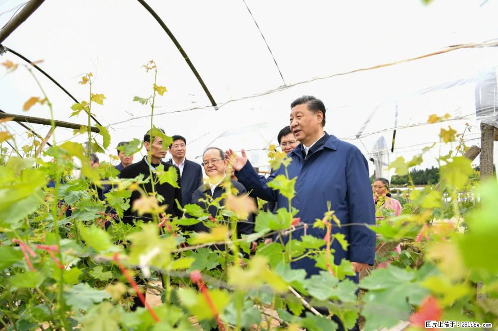 习近平赴广西考察调研 - 吉林生活资讯 - 吉林28生活网 jl.28life.net