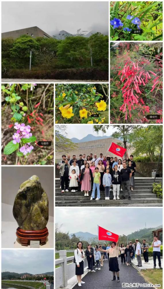 “粤灌文化 美好生活”油茶文化主题活动在广东深圳成功举办 - 吉林生活资讯 - 吉林28生活网 jl.28life.net