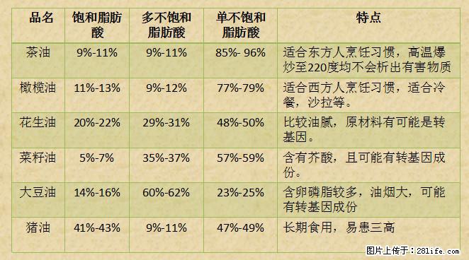 揭秘茶油的5大核心营养成分！被称为人体健康的“守护盾”！ - 吉林生活资讯 - 吉林28生活网 jl.28life.net