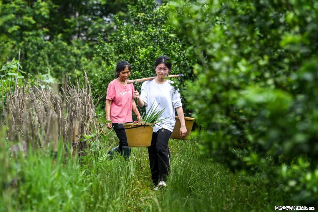 全网追的“扁担女孩”，找了一份暑假工，时薪12元 - 吉林生活资讯 - 吉林28生活网 jl.28life.net