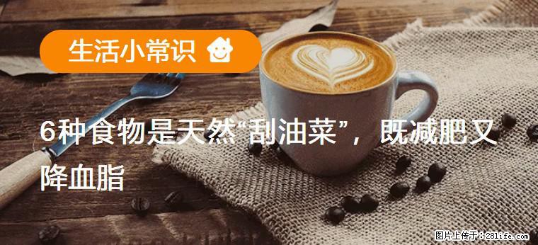【生活小常识】6种食物是天然“刮油菜”，既减肥又降血脂 - 吉林生活资讯 - 吉林28生活网 jl.28life.net