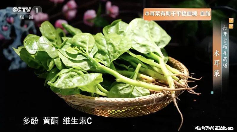 比牛奶补钙还厉害！凉血解毒、稳血糖...这菜冬天必吃，很多人却当草 - 吉林生活资讯 - 吉林28生活网 jl.28life.net
