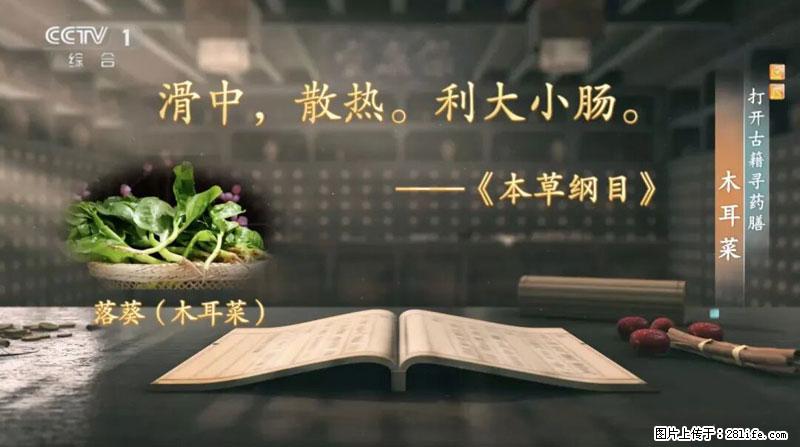 比牛奶补钙还厉害！凉血解毒、稳血糖...这菜冬天必吃，很多人却当草 - 吉林生活资讯 - 吉林28生活网 jl.28life.net