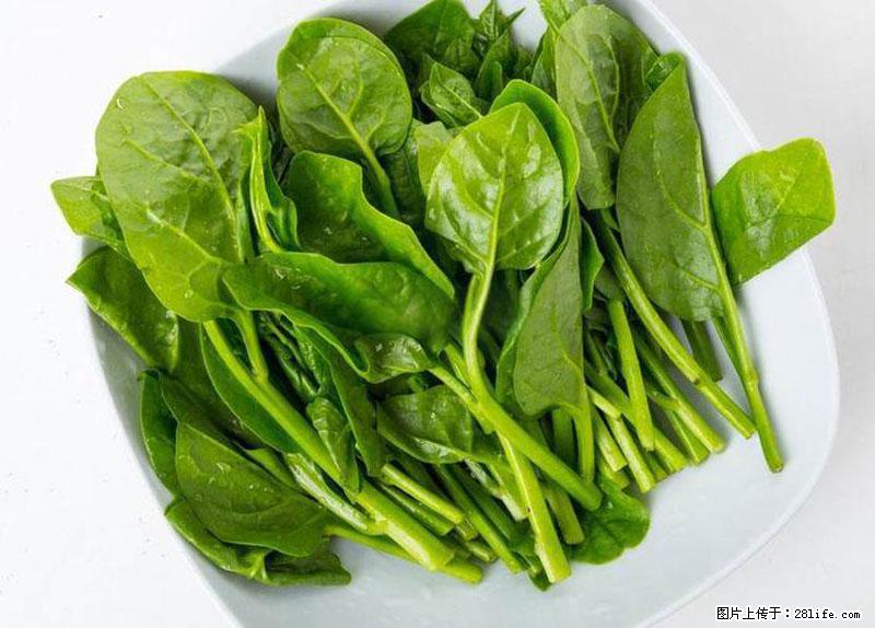 这些蔬菜是“天然钙片”，这6种被医生重点推荐 - 吉林生活资讯 - 吉林28生活网 jl.28life.net
