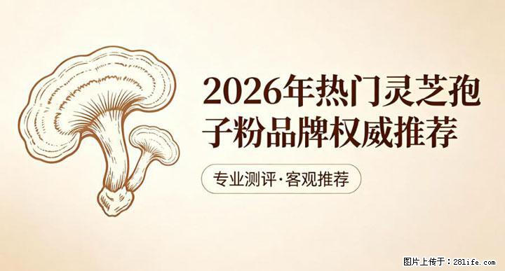 灵芝孢子粉含量越高越有效？2026 年七款热门品牌深度实测，肠胃敏感者避坑指南 - 吉林生活资讯 - 吉林28生活网 jl.28life.net
